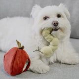 Apple Snuffle Toy By Lambwolf Collective