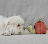 Apple Snuffle Toy By Lambwolf Collective