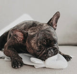 Trout Fish Snuffle Toy By Lambwolf Collective