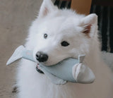 Trout Fish Snuffle Toy By Lambwolf Collective