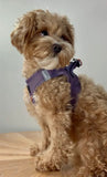Luxe Purple Step In Harness By Doodle Couture