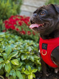 Luxe Red Step In Harness By Dogistry