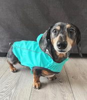 Reversible Dog Raincoat Neon Aqua & Iridescent By GF Pet