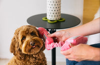 Pink Landline Phone Plush Dog Toy By P.L.A.Y