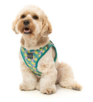 Banamarama Step In Dog Harness By Fuzzyard