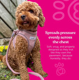 Snappy Step In Harness Blush Pink By Doodlebone
