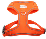 Overhead Harness Tangerine Orange By Doodlebone