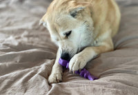 Fish Bones Chew Toy By Soda Pup