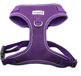 Overhead Harness Violet Purple By Doodlebone