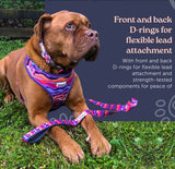 Overhead Harness Tangerine Orange By Doodlebone