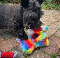 Zippy Burrow Piñata Toy By Zippy Paws