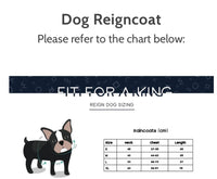Make It Reign Raincoat By Reign Dog