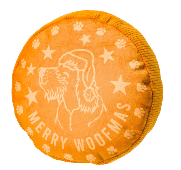 Golden Coin Toy By House Of Paws