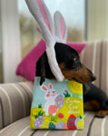 Hoppin’ Easter Storybook Hide & Seek Dog Toy By Hugsmart
