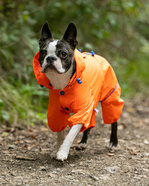 Reflective Orange Overalls Dog Jacket By Hugo & Hudson