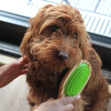 Bamboo Double Sided Bamboo Dog Brush with Silicone Massager By Pet Wiz