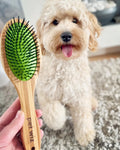 Double Sided Pin & Bristle Bamboo Brush By Pet Wiz