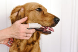 Dental Finger Wipes By Pet Wiz