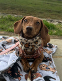 Cheetah Lavender Lilac Handmade Fleece Dog Snood By Urban Tails