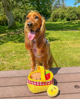 Picnic Time Hide & Seek Dog Toy By Hugsmart