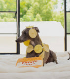 Potato Chips Nosework Toy By Chewffon