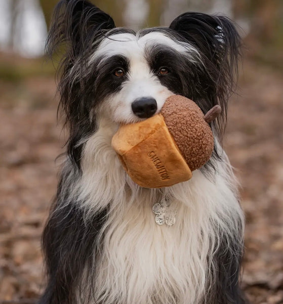 Acorn Toy By Chewffon