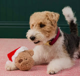 Santa Teddy Bounce Ball Toy By The Foggy Dog