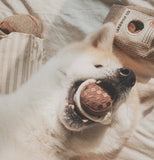 Expresso Coffee Cup Pop Toy By Lambwolf Collective