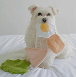 Pita Pocket Nosework Toy By Pups & Bubs