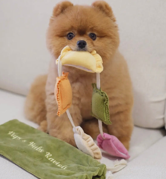Ravioli Nosework Toy By Pups & Bubs