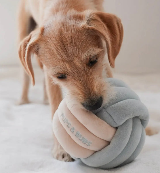Snuffle Knot Toy By Pups & Bubs