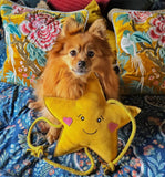 Aurora The Star Toy By Aurora Paws