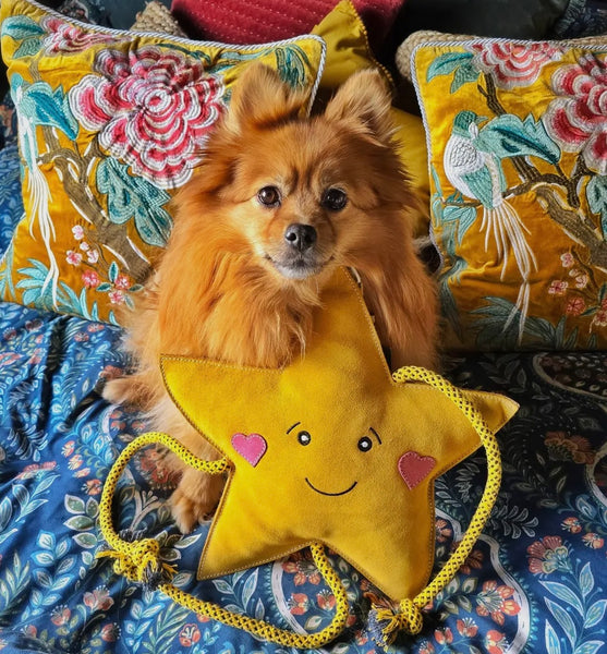 Aurora The Star Toy By Aurora Paws