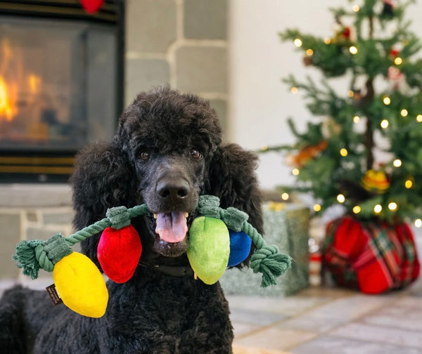 Christmas Lights Dog Toy By P.L.A.Y