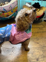 Speed Of Light Raincoat By Reign Dog