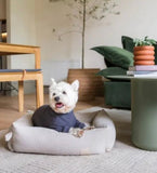 Slate Soft Touch Dog Pyjamas By FuzzYard Life