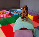 Sat 28th Mar 1pm - Love From Betty Socials Spaniel Society @ Mi Coffee & Cake Sandhurst