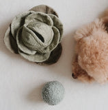 Green Cabbage Snuffle Toy By Lambwolf Collective