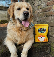 W & W Chocolates Snuffles Dog Toy By PawStory