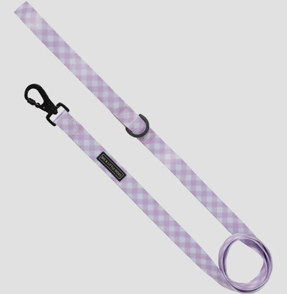 Gingham Berry Dog Lead By Big & Little Dogs