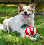 The Very Hungry Caterpillar Apple Rope Dog Toy By Happy Pet