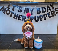 Zippy Burrow Birthday Cake Toy By Zippy Paws