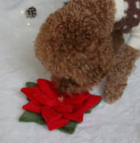 Snuffle Poinsettia Nosework Toy By Pups & Bubs