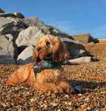 Country Green Tartan Handmade Fleece Dog Snood By Urban Tails