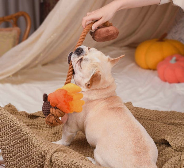 Autumn Acorn Rope Dog Toy By Hugsmart – Love From Betty