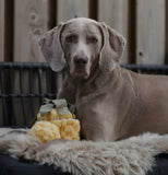 Pineapple Snuffle Toy By Lambwolf Collective