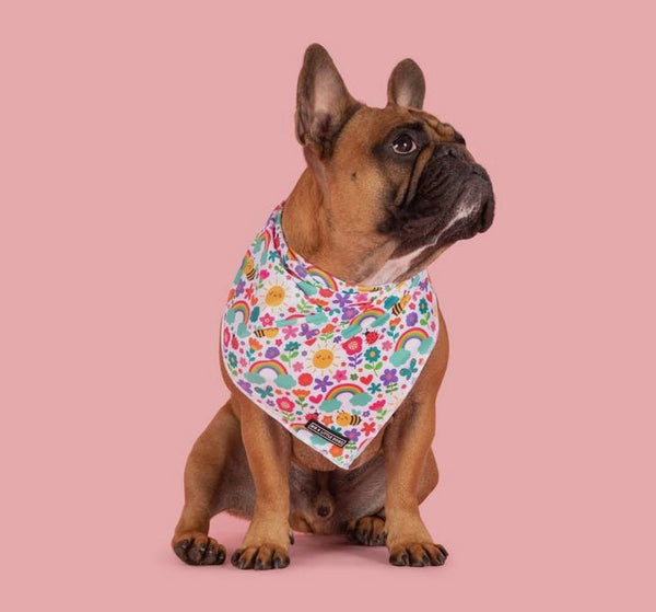 Follow The Rainbow Cooling Dog Bandana By Big & Little Dogs