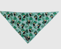 Toucan Do It Cooling Dog Bandana By Big & Little Dogs