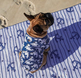 L Blue Shark Bite Me Beach Dog Rashie By Big & Little Dogs