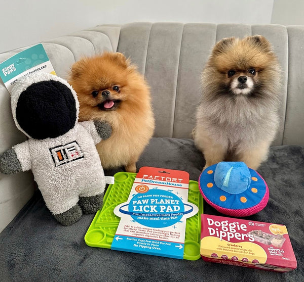 Themed Subscription Box - April - Space